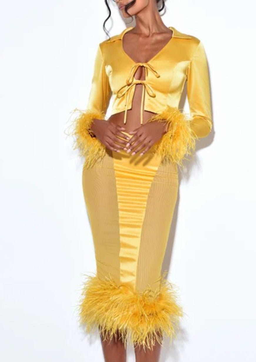 Celeste Feather Long Sleeved Satin Top x Yellow