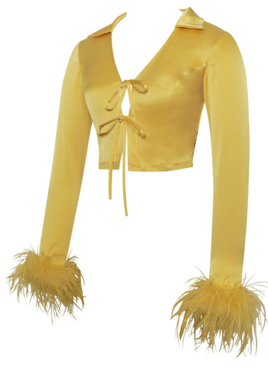 Celeste Feather Long Sleeved Satin Top x Yellow