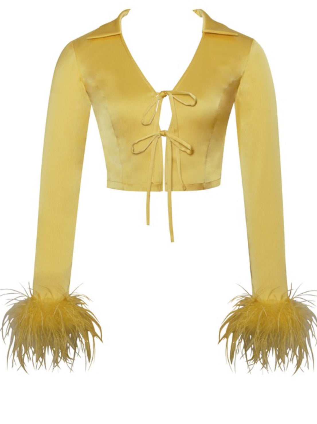 Celeste Feather Long Sleeved Satin Top x Yellow