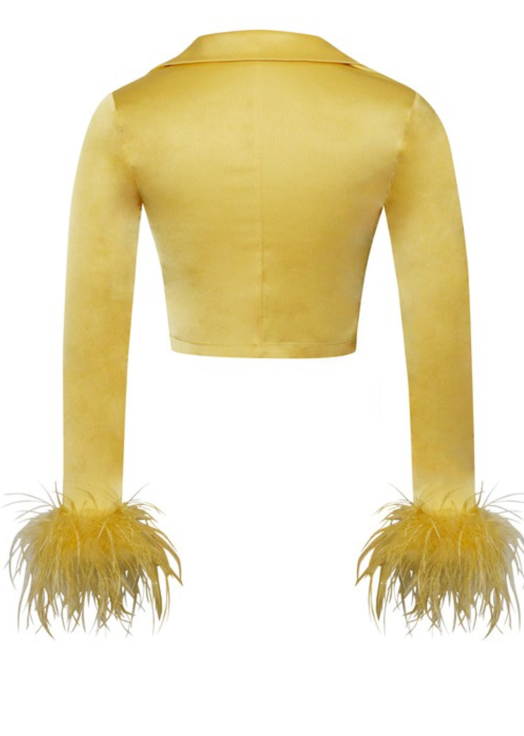 Celeste Feather Long Sleeved Satin Top x Yellow