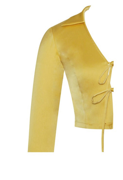 Celeste Feather Long Sleeved Satin Top x Yellow